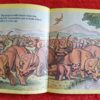 The Horned Dinosaur: Triceratops – Michael Berenstain secondhand book