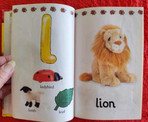 ABC – Lesley Clark secondhand book