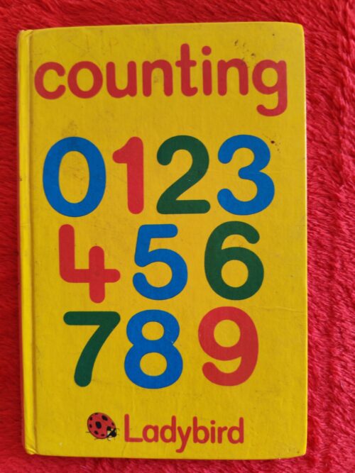 Counting – Lynne Bradbury secondhand book