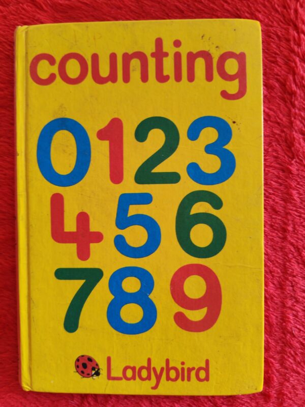 Counting – Lynne Bradbury secondhand book