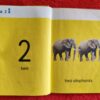 Counting – Lynne Bradbury secondhand book