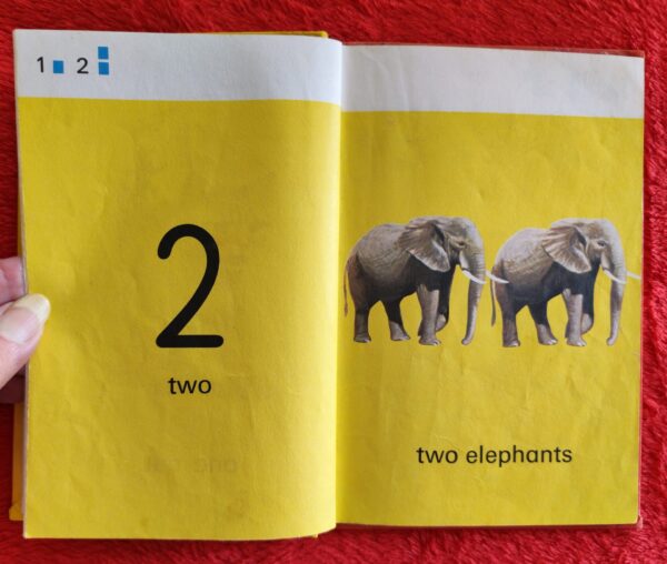 Counting – Lynne Bradbury secondhand book