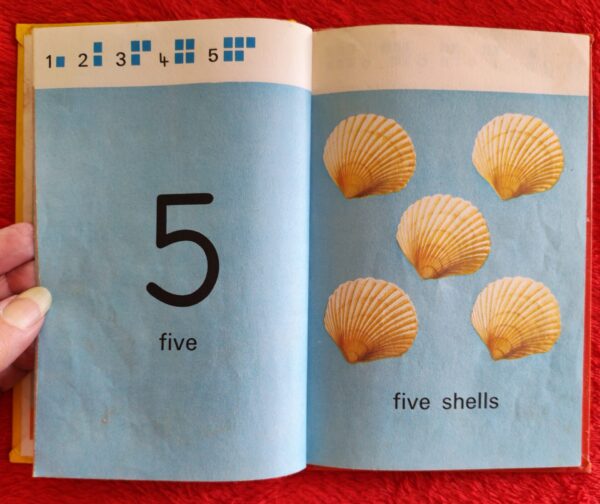 Counting – Lynne Bradbury secondhand book
