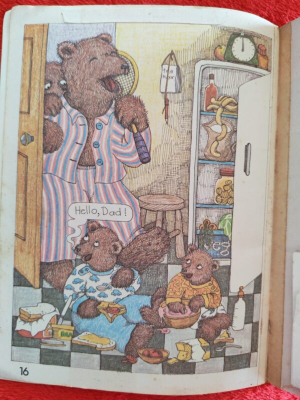 Hairy Bear – Joy Cowley secondhand book