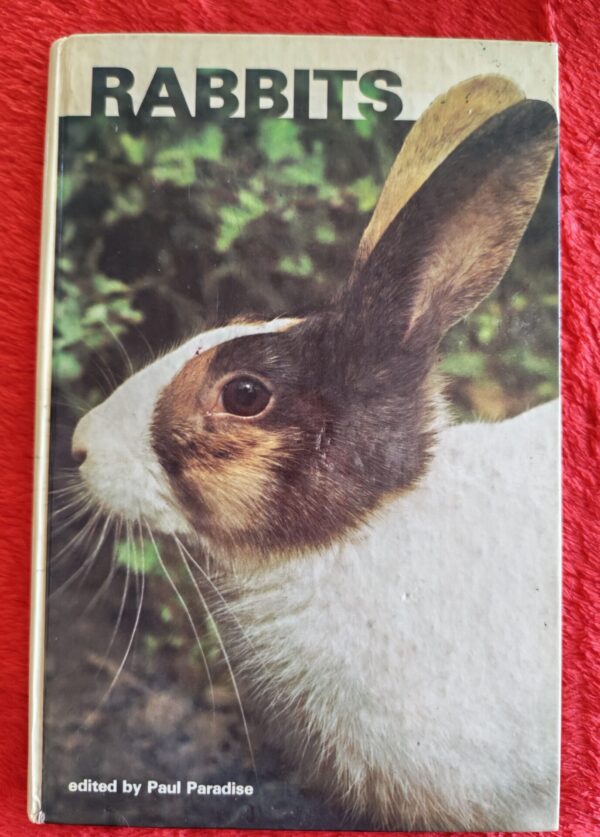 Rabbits – Paul Paradise secondhand book
