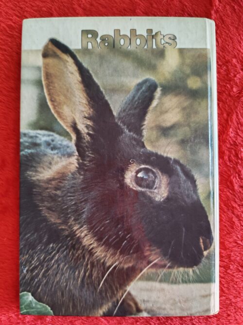 Rabbits – Paul Paradise secondhand book