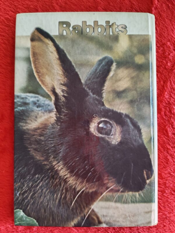 Rabbits – Paul Paradise secondhand book