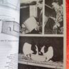 Rabbits – Paul Paradise secondhand book