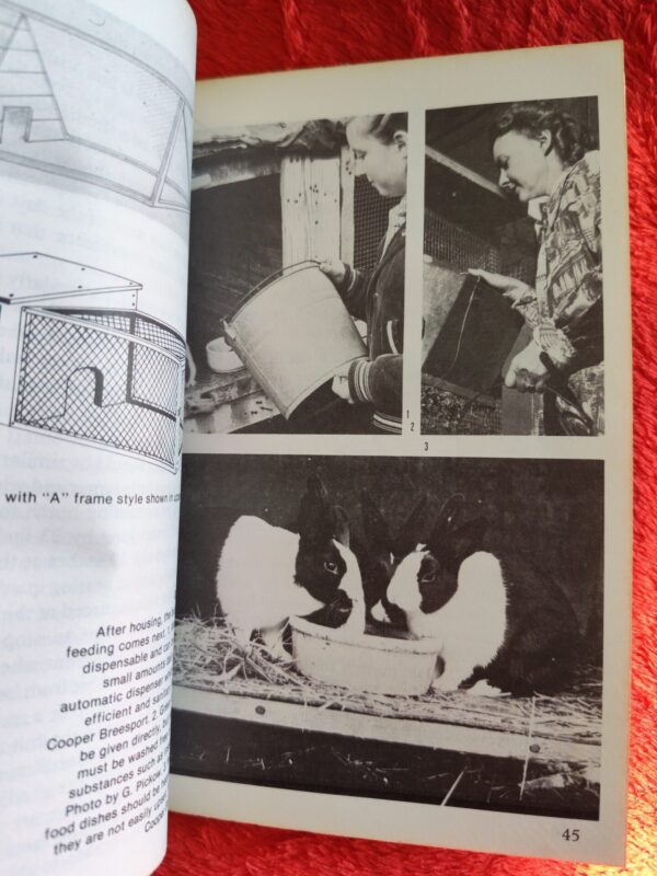 Rabbits – Paul Paradise secondhand book