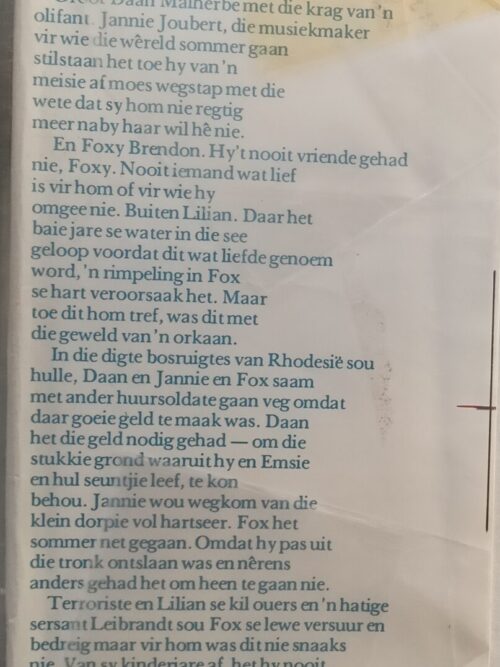 ‘n Vriend Vir Foxy – Willie Van Rensburg secondhand book