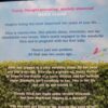 What Alice Forgot – Liane Moriarty secondhand book