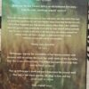The time traveler’s wife – Audrey Niffenegger secondhand book