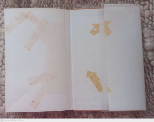 My Voet In ‘n Visblik: ‘n Stoutobiografie — Fanus Rautenbach secondhand book
