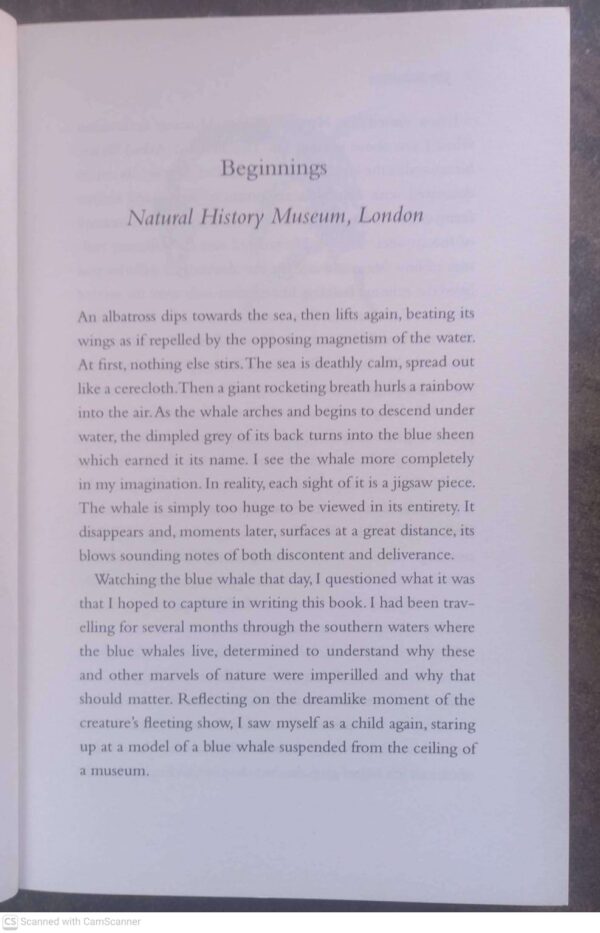 On Extinction: How We Became Estranged From Nature — Melanie Challenger secondhand book