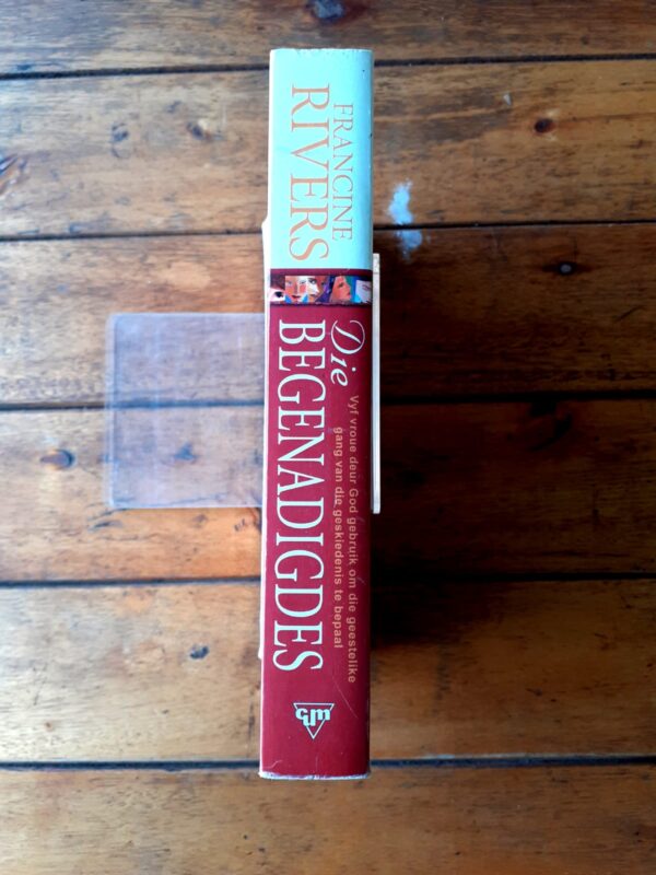 Die Begenadiges – Francine Rivers secondhand book