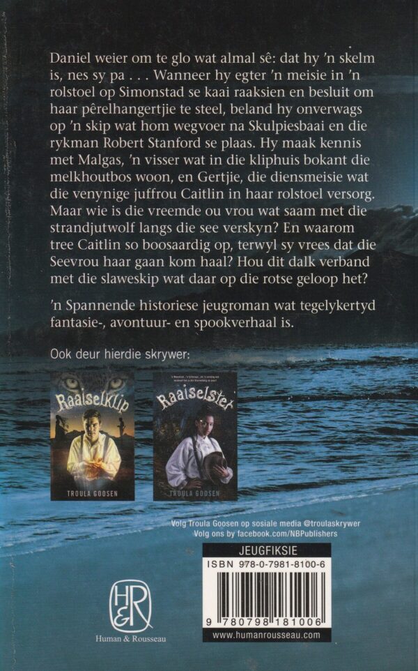 Raaiselsee – Troula Goosen secondhand book