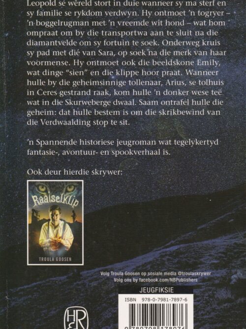 Raaiselster – Troula Goosen secondhand book