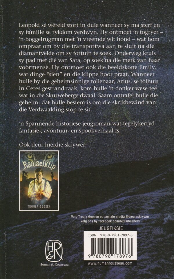 Raaiselster – Troula Goosen secondhand book