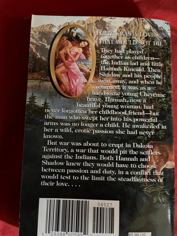 Reckless Heart – Madeline Baker secondhand book
