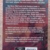 The Sum Of All Men — David Farland secondhand book