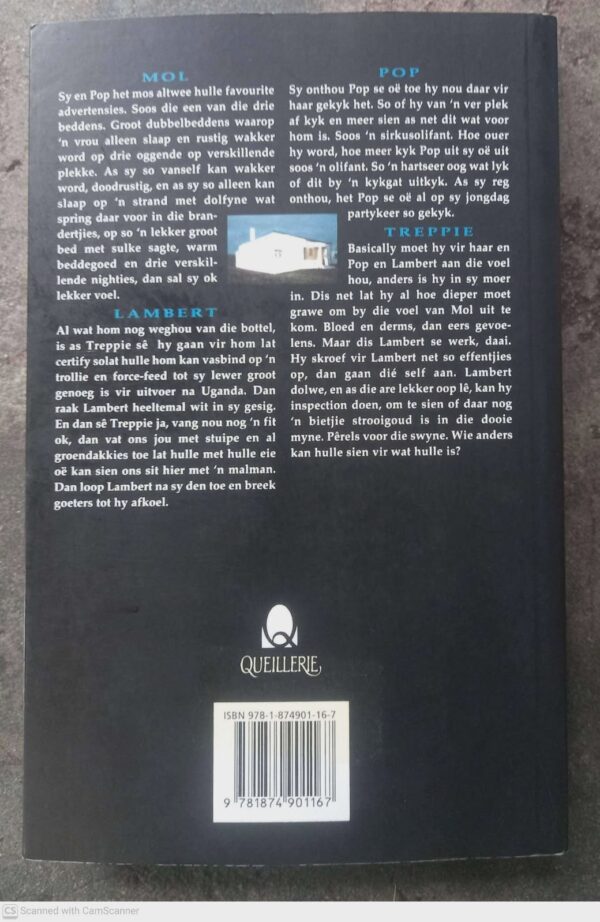 Triomf — Marlene Van Niekerk secondhand book