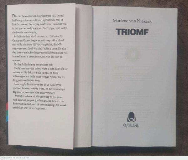 Triomf — Marlene Van Niekerk secondhand book