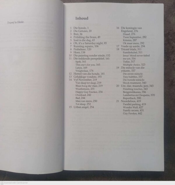 Triomf — Marlene Van Niekerk secondhand book
