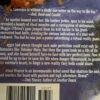 Virtual Heaven – Ann Lawrence secondhand book