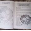 Weber Cooking South African Style — Shirley Guy, Marty Klinzman secondhand book