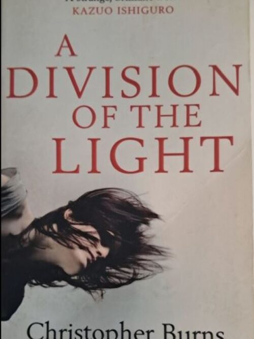 A Division Of The Light – Christopher Burns secondhand book