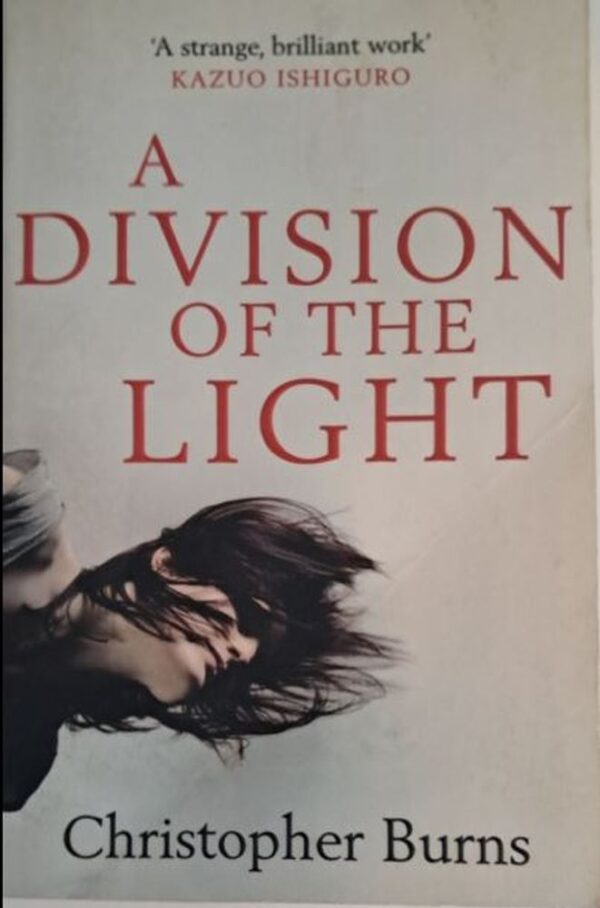 A Division Of The Light – Christopher Burns secondhand book
