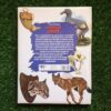 Ontdek: Bedreigde Diere – Die wonder van leer secondhand book