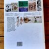 green1 Artists & Illustrators Of The Anglo-Boer War – Ryno Greenwall secondhand book