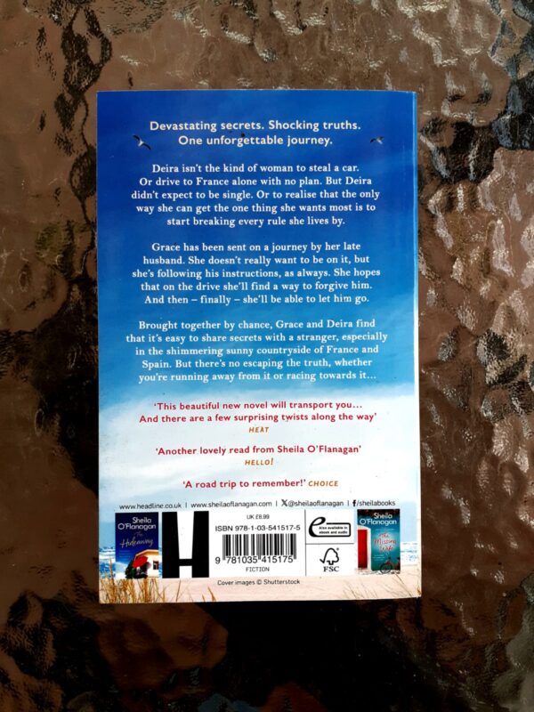 The Women Who Ran Away – Sheila O’Flanagan secondhand book