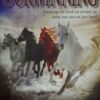 Oorwinning – Elza Meyer secondhand book