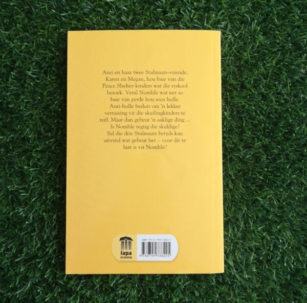 Stalmaats: Anri se plan – Lize Roux secondhand book
