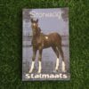 Stalmaats: Stormnag – Lize Roux secondhand book