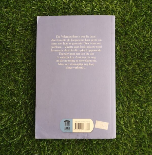 Stalmaats: Stormnag – Lize Roux secondhand book