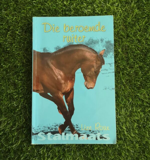 Stalmaats: Die beroemde ruiter – Lize Roux secondhand book