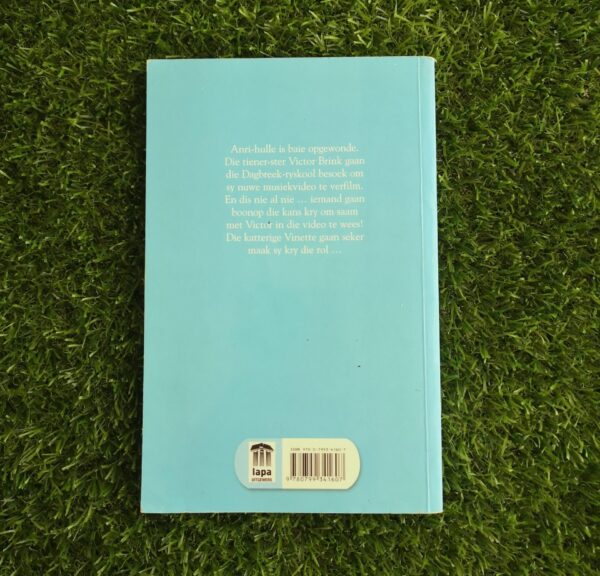 Stalmaats: Die beroemde ruiter – Lize Roux secondhand book