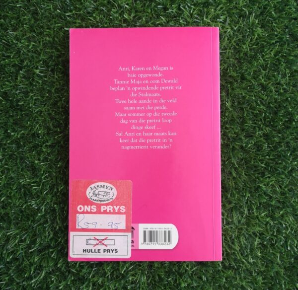 Stalmaats: Die spookperd – Lize Roux secondhand book