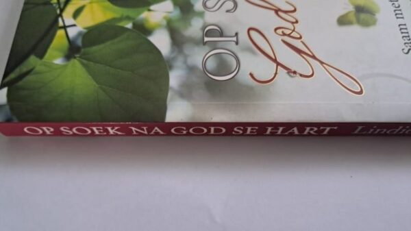 Op Soek Na God Se Hart – Lindie Strydom secondhand book