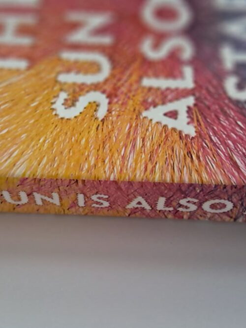 The Sun Is Also A Star – Nicola Yoon secondhand book