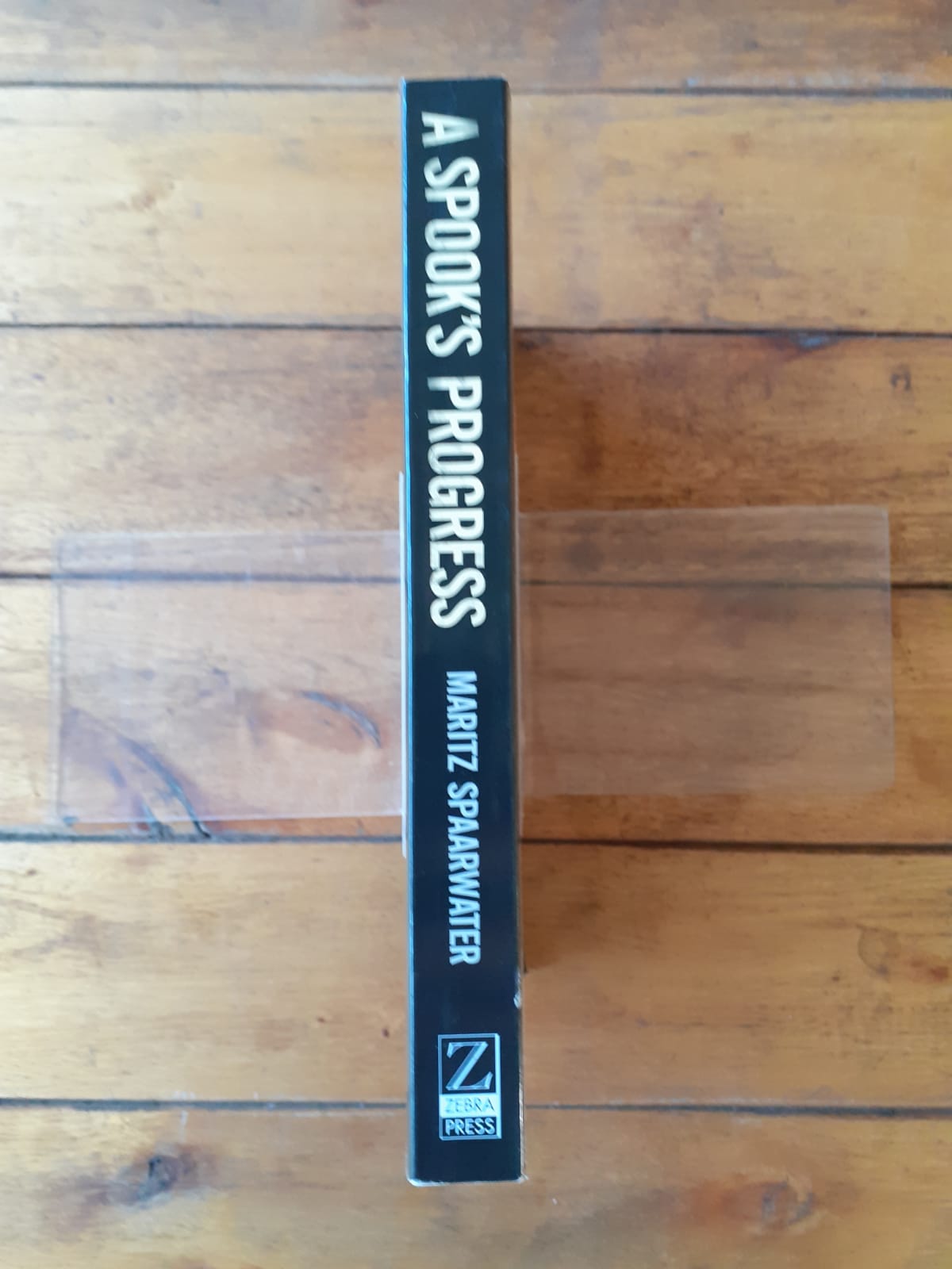 A Spook's Progress - Maritz Spaarwater