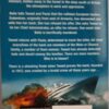 The Main Chance – Colin Forbes secondhand book