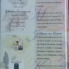 20260611_155848 Seisoene Van Oorvloed – Nina Smit secondhand book