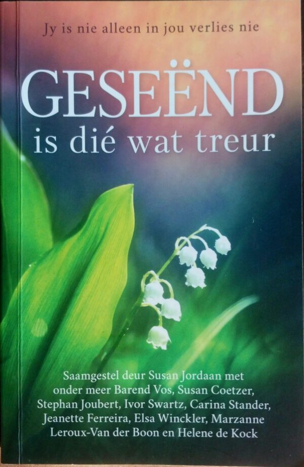 Geseënd Is Dié Wat Treur – Susan Jordaan secondhand book