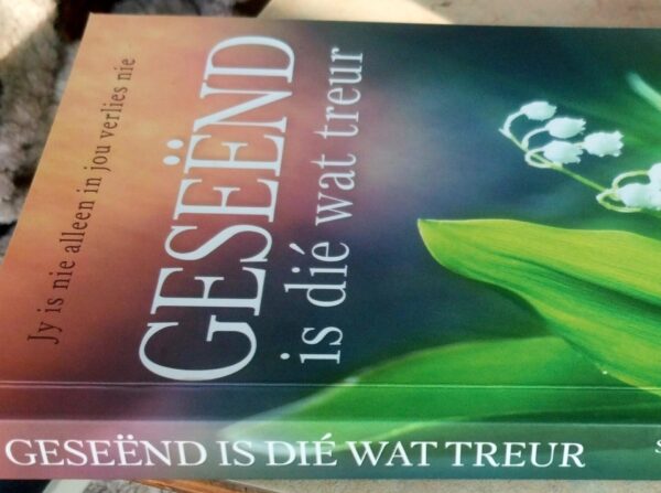 Geseënd Is Dié Wat Treur – Susan Jordaan secondhand book