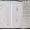 Die Ambassadeur – André P. Brink secondhand book