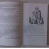 Asmodeus: A forkful Of Tales From Devil’s Peak – Alex D’Angelo secondhand book
